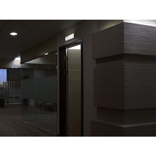 Nouzové svítidlo Panlux Fenix FXE-9001-C 9W/1H 2G7