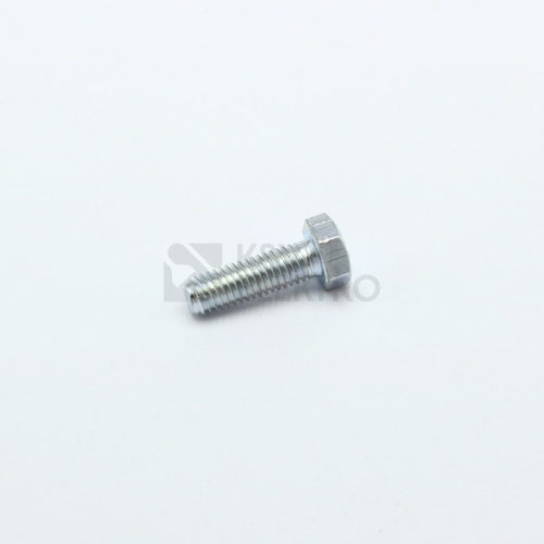 SROUB M8X25 6-TI HRAN GZ (BAL100 KS)