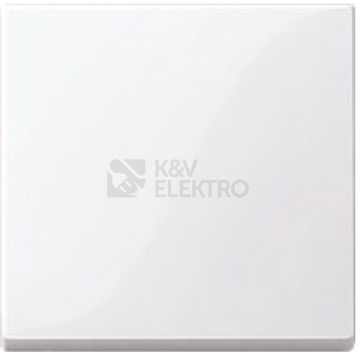 Obrázek produktu Schneider Electric Merten kryt vypínače System M active MTN432125 0