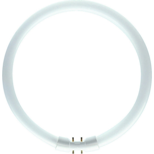 Levně Kruhová zářivka Philips MASTER TL5 Circular 60W/830 T5 2Gx13 teplá bílá 3000K