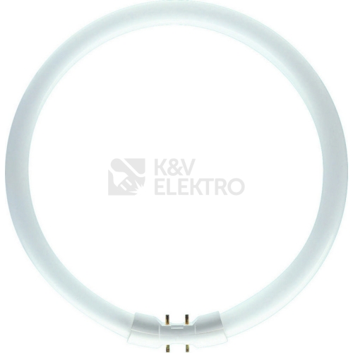 Kruhová zářivka Philips MASTER TL5 Circular 60W/840 T5 2GX13 neutrální bílá 4000K