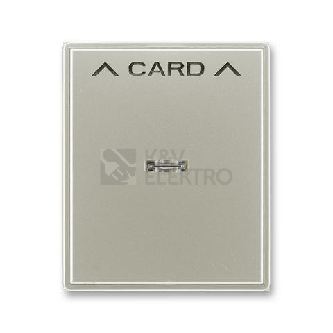 Obrázek produktu ABB Time, Time Arbo kryt kartového spínače starostříbrná 3559E-A00700 32 s průzorem 0