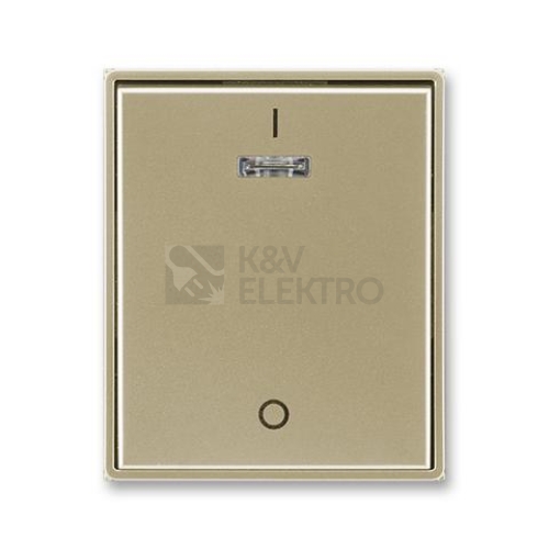 ABB Element,Time kryt vypínače s potiskem a průzorem šampaňská 3558E-A00933 33