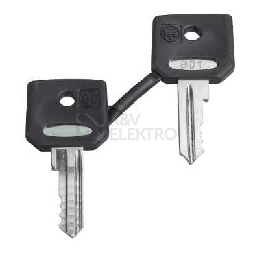 Obrázek produktu Schneider Electric Harmony náhradní klíče ZBG455 0