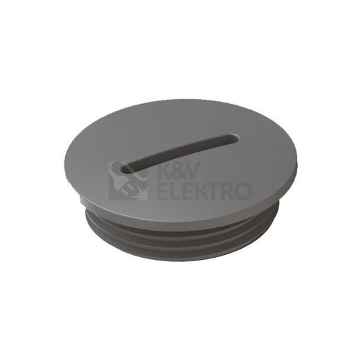 Obrázek produktu ZASLEPKA PG36 PLAST IP54 MBP1BS36L0 0
