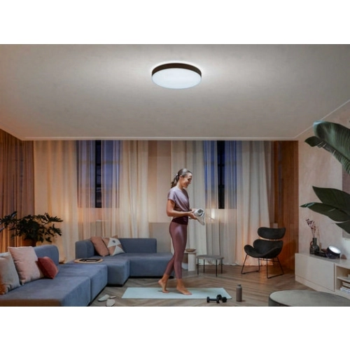 Bluetooth LED stropní svítidlo Philips Hue Enrave XL 41161/30/P6 bílá 48W 2200-6500K s dálkovým ovladačem (obrázek 4)