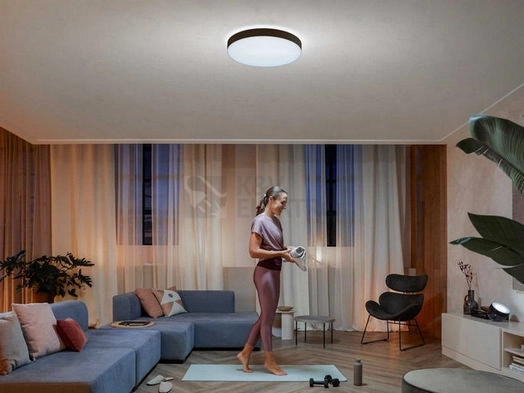 Obrázek produktu Bluetooth LED stropní svítidlo Philips Hue Enrave XL 41161/30/P6 bílá 48W 2200-6500K s dálkovým ovladačem 4