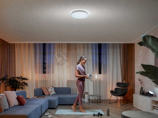 Obrázek produktu  Bluetooth LED stropní svítidlo Philips Hue Enrave L 41160/31/P6 bílá 33,5W 2200-6500K s dálkovým ovladačem 4