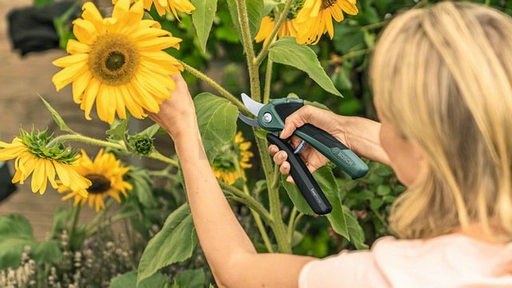 Obrázek produktu Aku zahradní nůžky Bosch EasyPrune 0.600.8B2.100 3,6V 1,3Ah 3