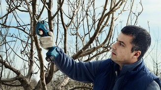 Obrázek produktu Aku zahradní nůžky Bosch Pro Pruner 0.601.9K1.020 bez nabíječky a baterie 3