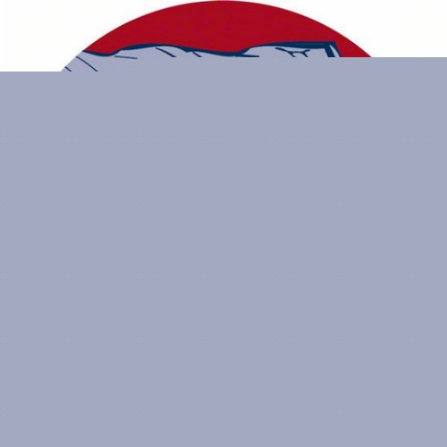 Vrták Bosch SDS plus-5X 16x250x310mm 2.608.833.827