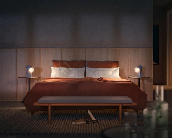Obrázek produktu LED žárovka E27 Philips Hue 2ks 6W (60W) White Ambiance (2200-6500K) stmívatelná 2
