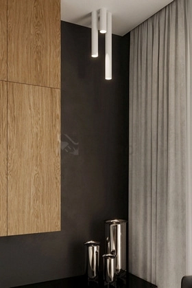 Obrázek produktu Stropní svítidlo SOLLUX Lagos 10cm GU10 1x40W bez zdroje SL.0996 bílá 1