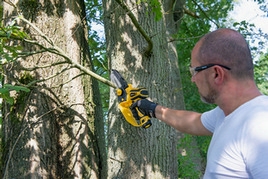 Obrázek produktu AKU jednoruční řetězová pila 100mm 12V 2x aku 2Ah PowerPlus POWXG1045 6