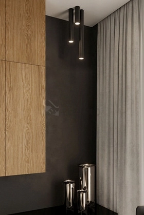 Obrázek produktu Stropní svítidlo SOLLUX Lagos 10cm GU10 1x40W bez zdroje SL.1000 černá 1