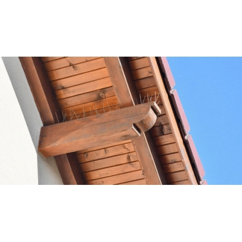 Ochranné hroty G21 zábrana proti ptákům 50x11cm 1ks 635033 (obrázek 2)