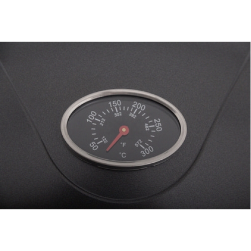 Gril G21 Hawaii Elektrický 6390296