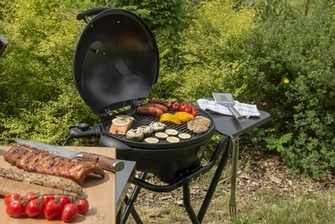 Obrázek produktu Gril G21 Hawaii Elektrický 6390296 8