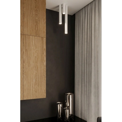 Stropní svítidlo SOLLUX Lagos 20 GU10 1x40W bez zdroje ocel bílá SL.0997 (obrázek 4)