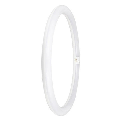LED kruhová zářivková trubice T9 G10q LEDVANCE SubstiTUBE 24W (40W) studená bílá (6500K)