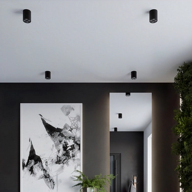 Stropní LED svítidlo SOLLUX ZOE černé 9W SL.1210 (obrázek 8)
