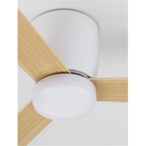 Stropní ventilátor NOVA LUCE DELL 38W 9952335 (obrázek 11)