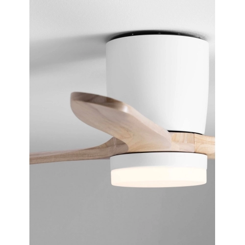 Stropní ventilátor s LED světlem NOVA LUCE ALOA 18W 3000/4000/6500K 9952376 (obrázek 5)