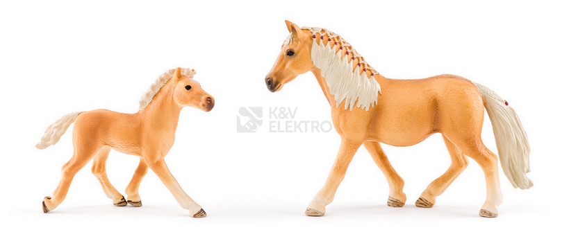 Obrázek produktu STAJ SE DVEMA KONMI 101096042 2