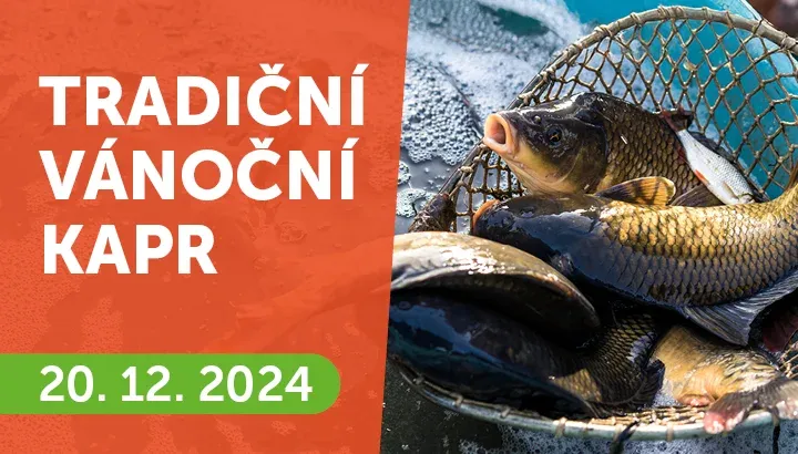 Baner_Vanocni kapri 2024 720x410.webp