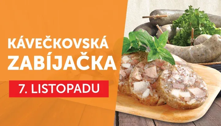 webový-příspěvek-plzen_7.11.webp